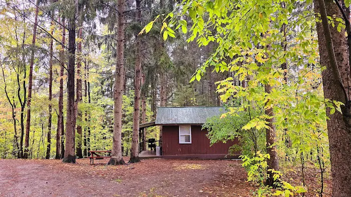 Woodstream Campsite Picture 5