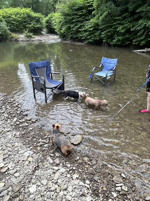 Lazy Acres Campgrounds Picture 6