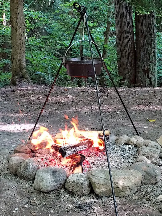 East Otto State Forest Campground Picture 9