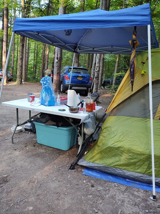 East Otto State Forest Campground Picture 5