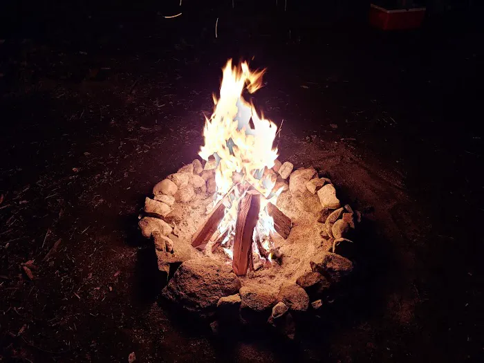 East Otto State Forest Campground Picture 4