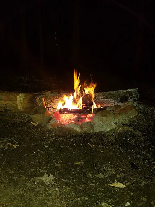 East Otto State Forest Campground Picture 1