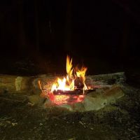 East Otto State Forest Campground ico