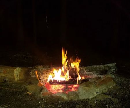 East Otto State Forest Campground