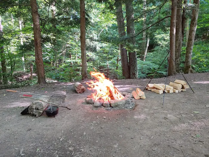 East Otto State Forest Campground Picture 6