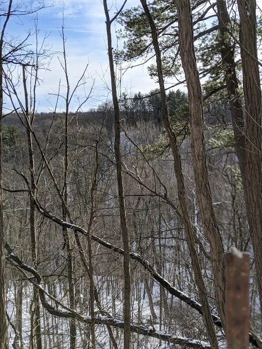 Letchworth C Cabins Picture 7