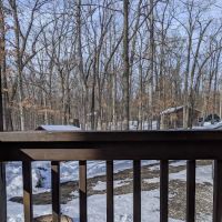 Letchworth C Cabins ico