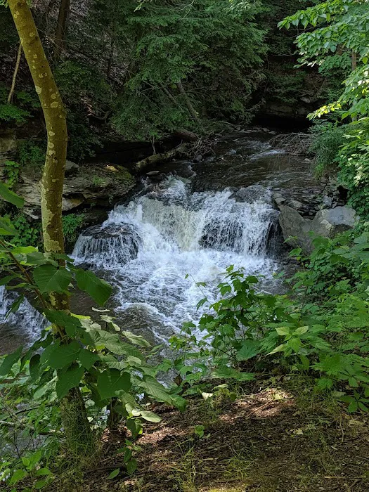Letchworth State Park Campground Picture 10