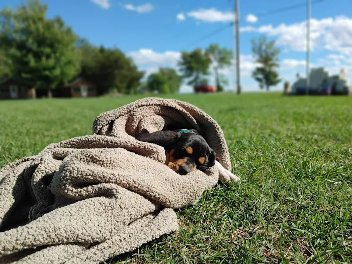 Sportsman Campground and Cottages Picture 9