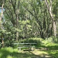 Vaughan Meadow ico