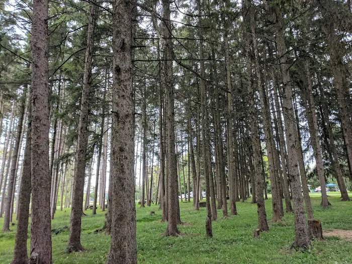 Crown Point Campground Picture 9