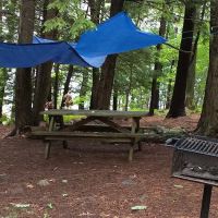 AMC Ponkapoag Family Camp ico