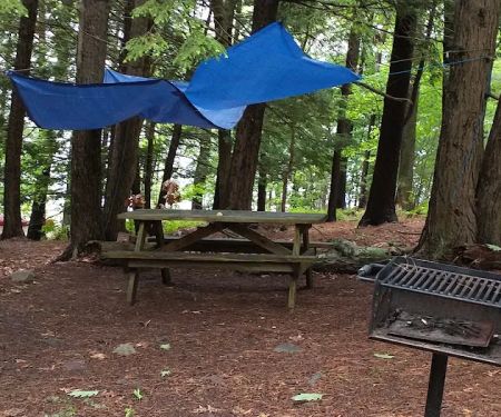 AMC Ponkapoag Family Camp