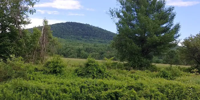 Meadowcrest Campground Picture 7