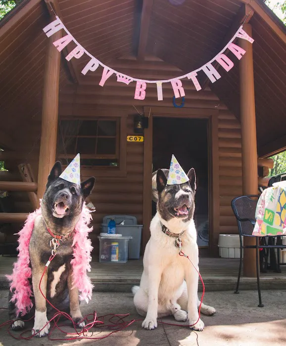 Boston / Cape Cod KOA Holiday Picture 4