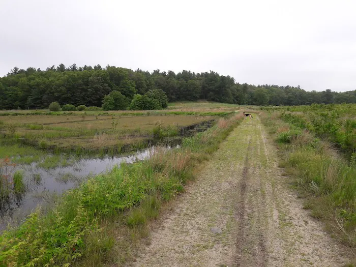 Camp Kiwanee Picture 7