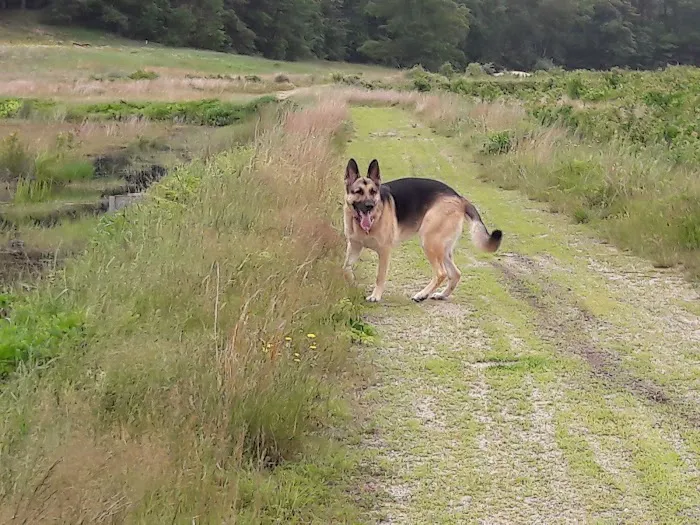 Camp Kiwanee Picture 2