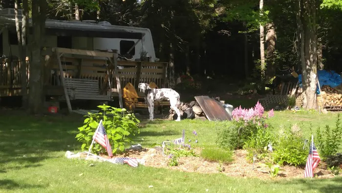 Groton Forest Rd Campground Picture 5