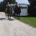 Groton Forest Rd Campground