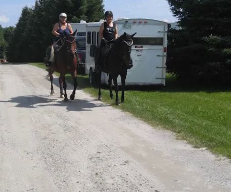 Groton Forest Rd Campground