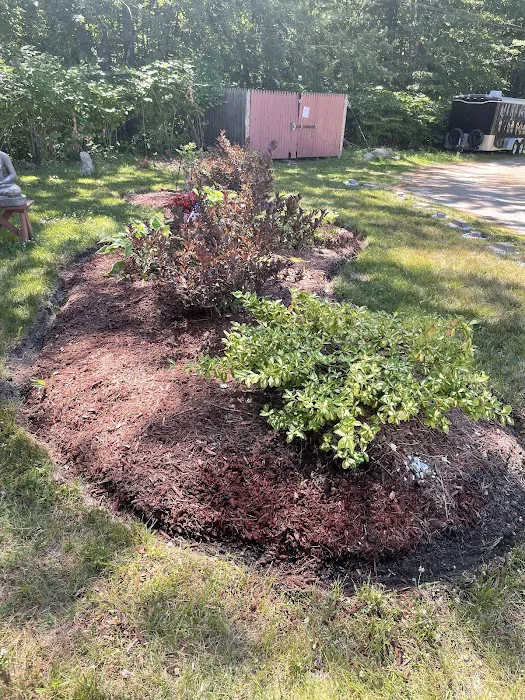 Edge of Woods Picture 10