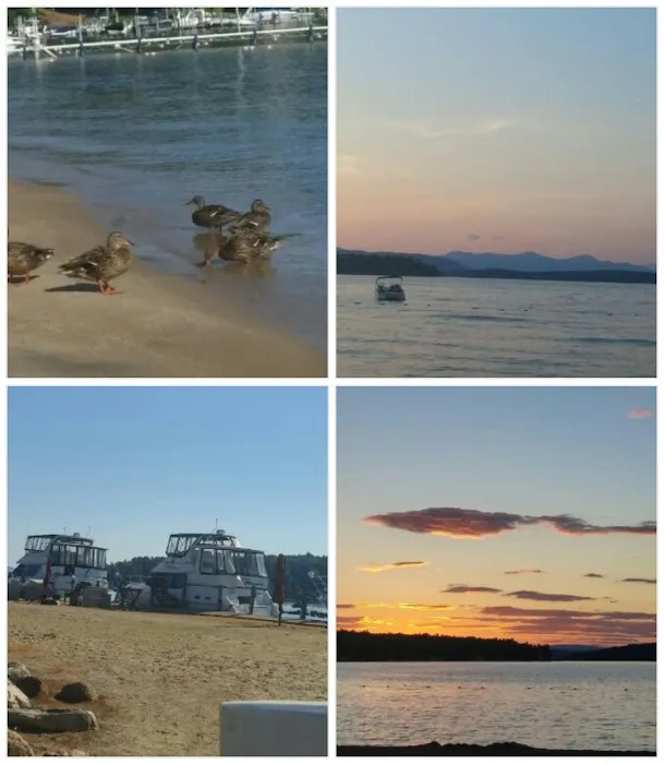 Edge of Woods Picture 4