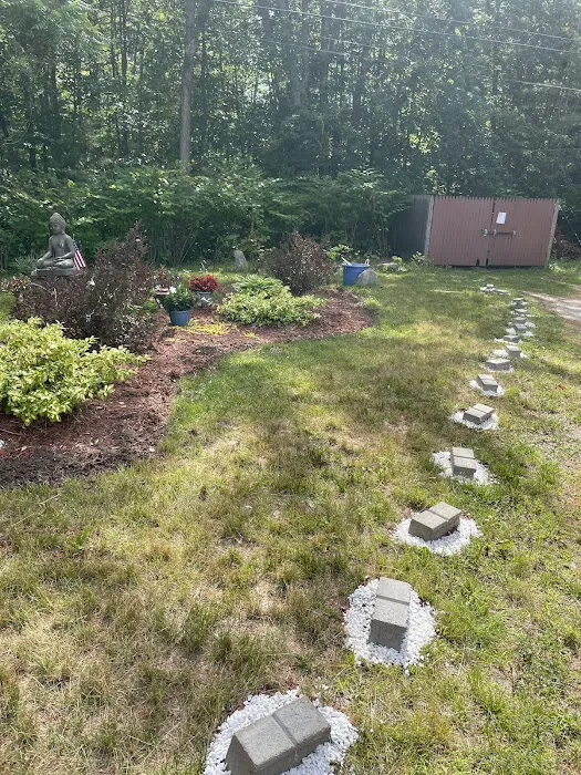 Edge of Woods Picture 9