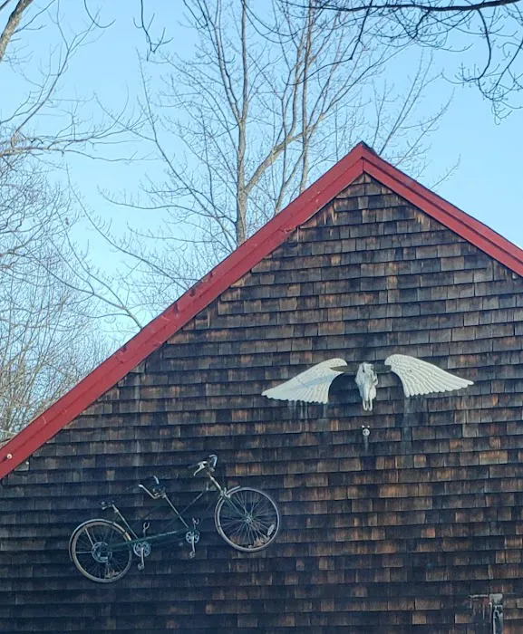 Paugus Bay Campground Picture 3