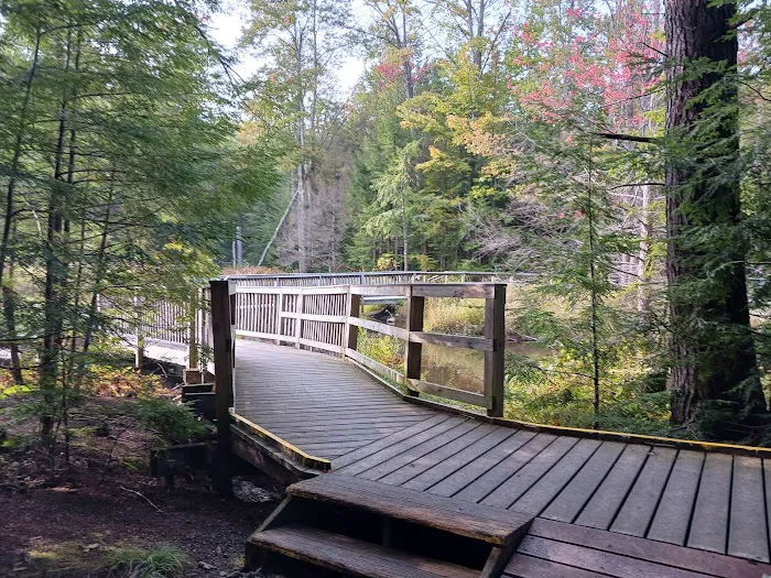 Gunstock Campground Picture 7