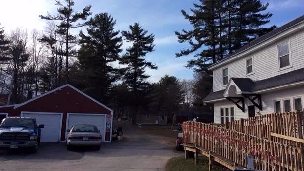 Tower Hill Cottages Picture 6