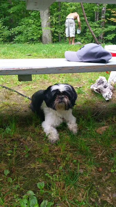 Pine Hollow Campground Picture 8