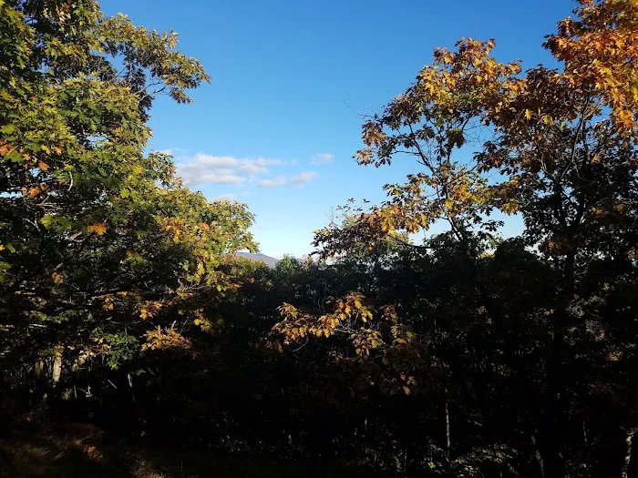 Hunter's RV Run Park Picture 9