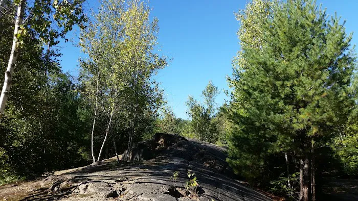 Twin Tamarack Family Camping Picture 1