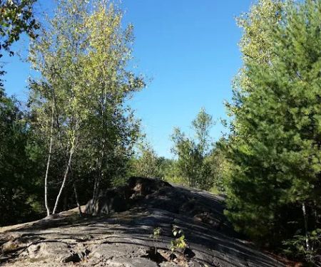 Twin Tamarack Family Camping
