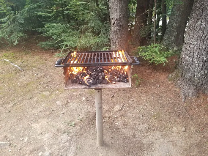 Twin Tamarack Family Camping Picture 4