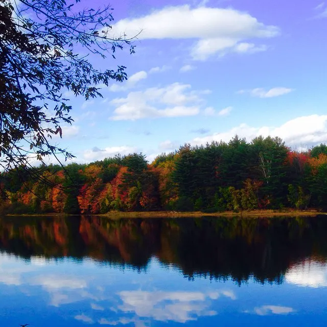 Wild Goose Cabin Picture 5