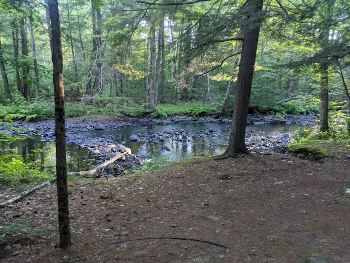 Sun River Campground Picture 5