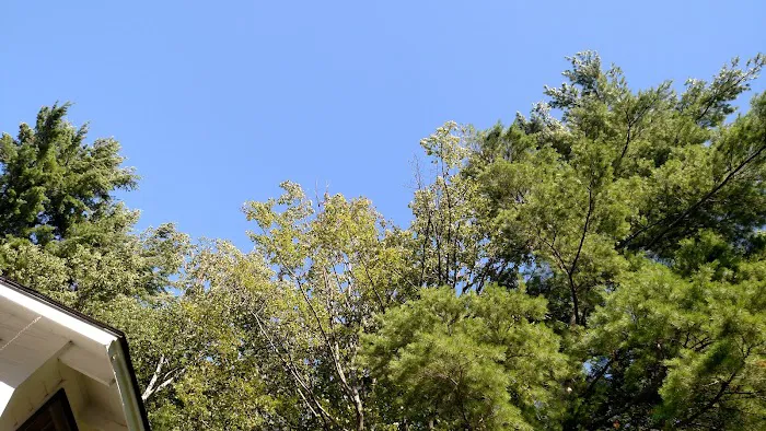 Spring Haven Campground Picture 2