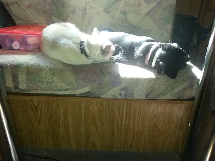 Spring Haven Campground Picture 4