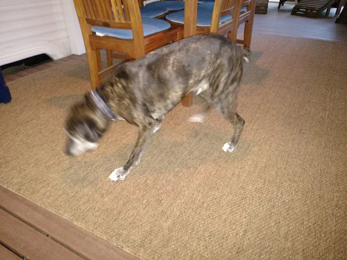 Spring Haven Campground Picture 9