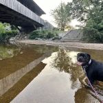 Plymouth Sands Campground