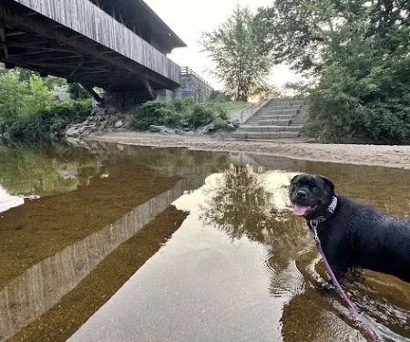 Plymouth Sands Campground