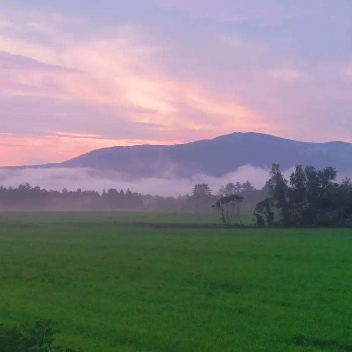 Plymouth Sands Campground Picture 8