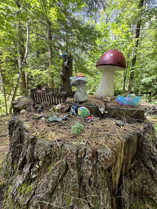 Ames Brook Campground Picture 5