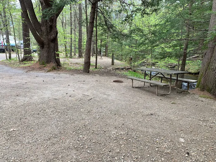 Ames Brook Campground Picture 3