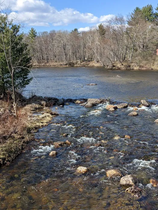 Branch Brook Campground Picture 5