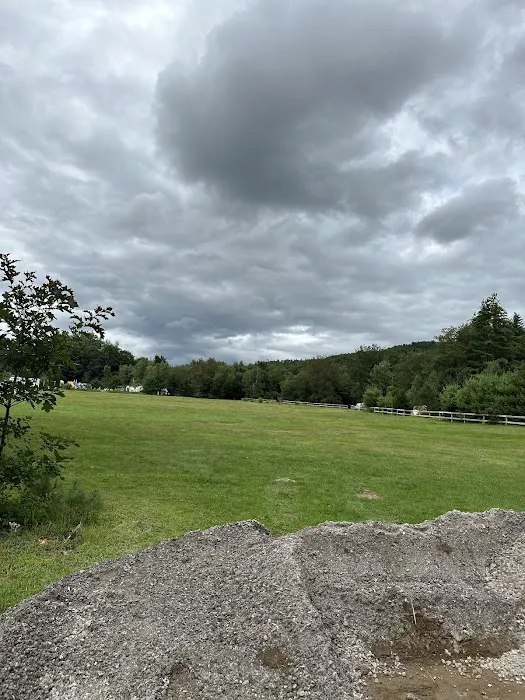 Branch Brook Campground Picture 9