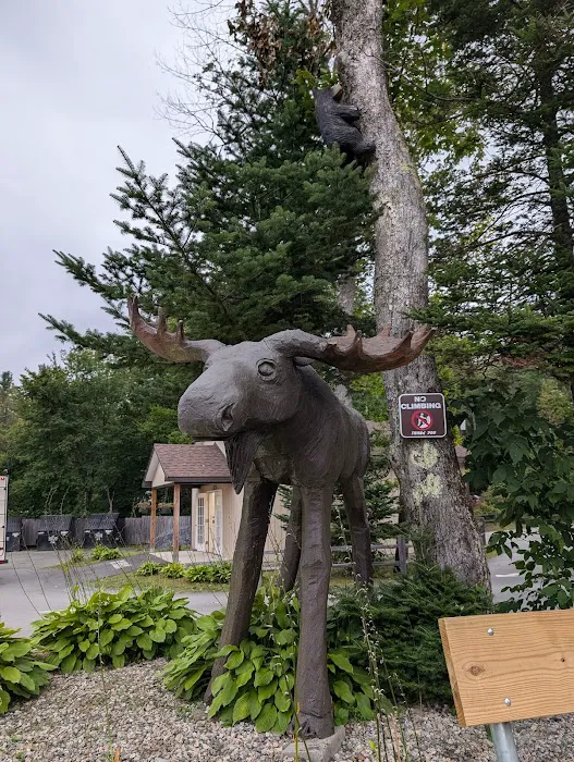 Moose Hillock Camping Resort Picture 10