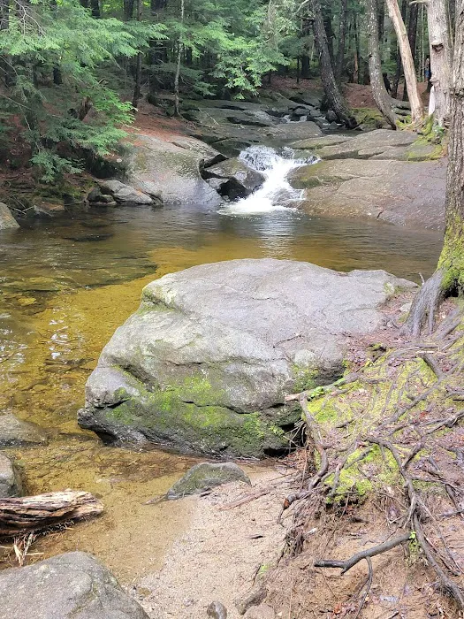 Moose Hillock Camping Resort Picture 1