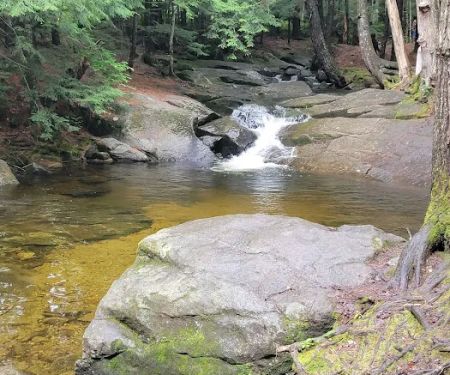 Moose Hillock Camping Resort